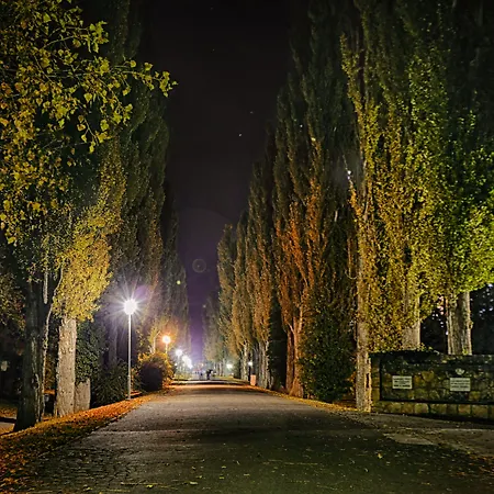 Ensana Esplanade Отель