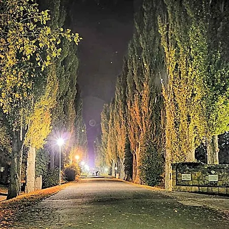 Ensana Esplanade מלון 4*